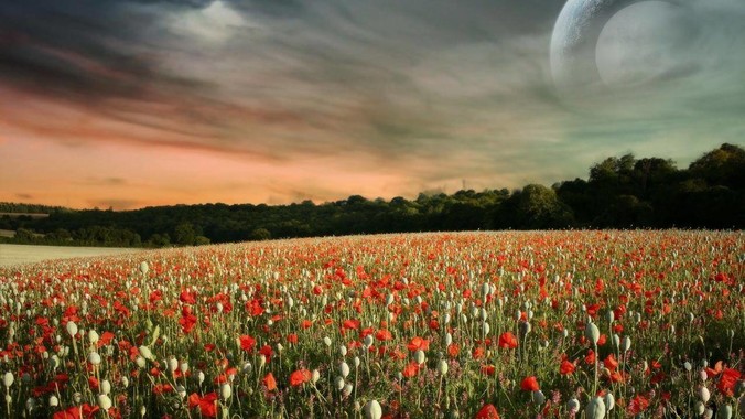 有没有一款工具可以把录音精准地转换成文字？